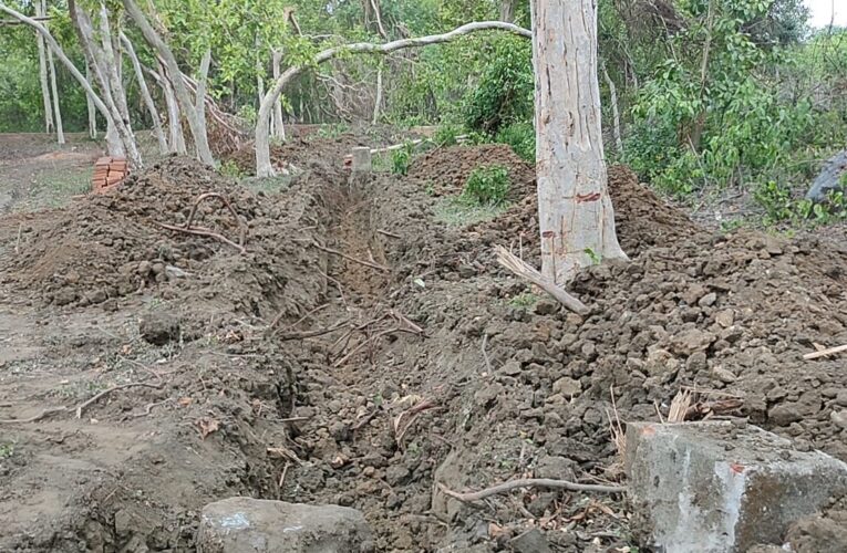 জমিতে দেওয়াল দেওয়ার নাম করে কেটে ফেলা হচ্ছে গাছের শেকড়,নীরব প্রশাসন ও বনদপ্তর।