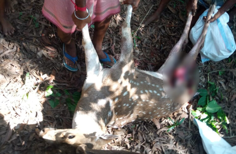 বাঁকুড়া রানীবাঁধ রেঞ্জ এলাকা থেকে উদ্ধার হরিণের মৃত দেহ। ঘটনার জেরে চাঞ্চল্য এলাকায়।