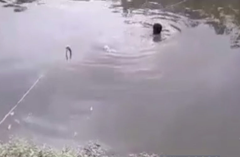 হাওড়াতেও ব্যালট বাক্স পুকুরে ফেলার ঘটনা।